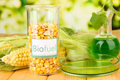 Raleigh biofuel availability